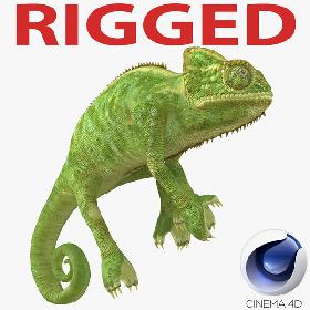 Chameleon Rigged for Cinema 4D